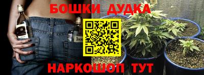 мяу мяу мука Гусиноозёрск