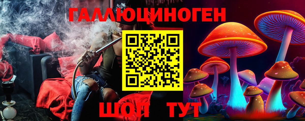 Галлюциногенные грибы Psilocybine cubensis  Вход с VPN  Мценск 