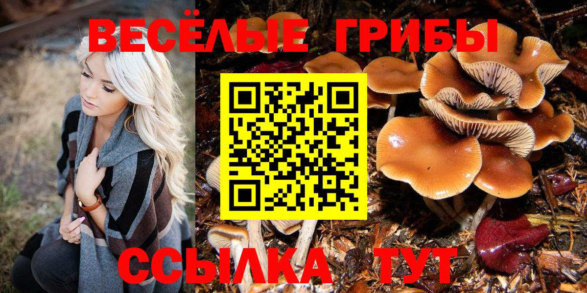 Галлюциногенные грибы мухоморы Мценск