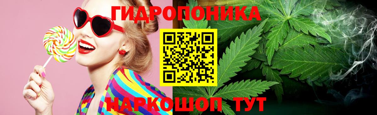 Каннабис OG Kush Мценск